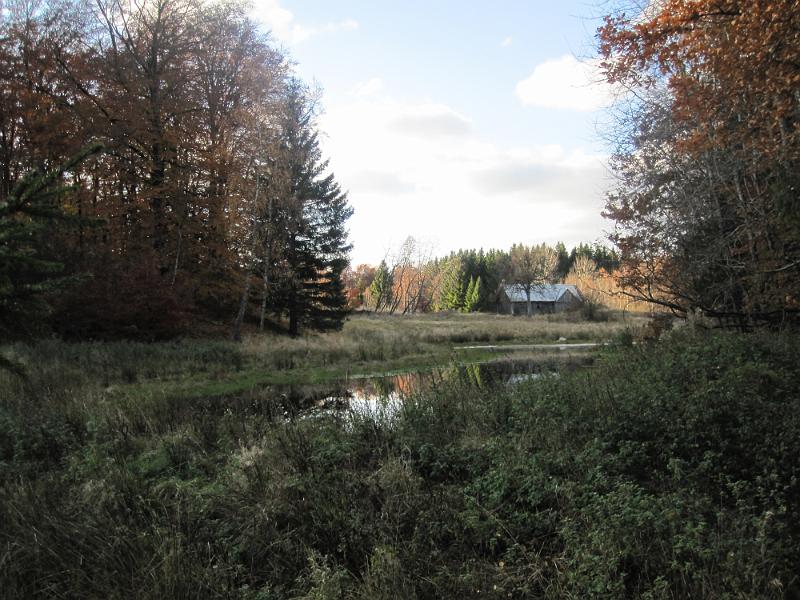RP9_09.JPG