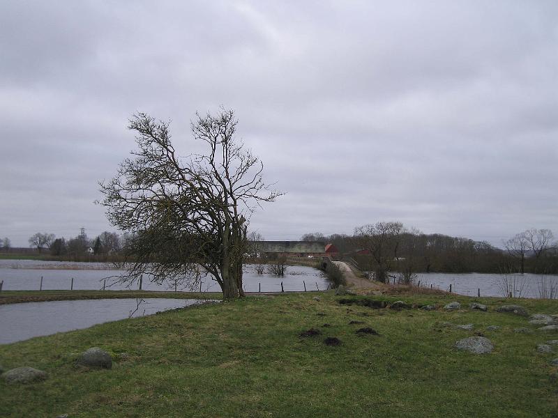 T10-A.jpg
