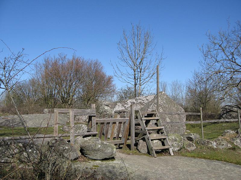 T11-M.jpg