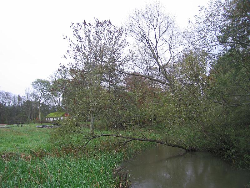 T18-A.jpg