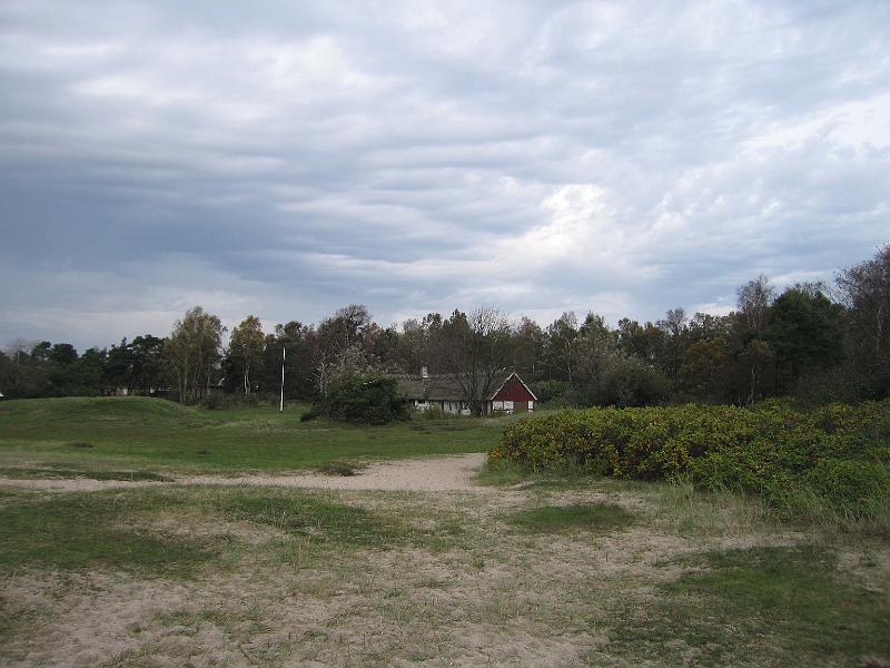 T20-D.jpg
