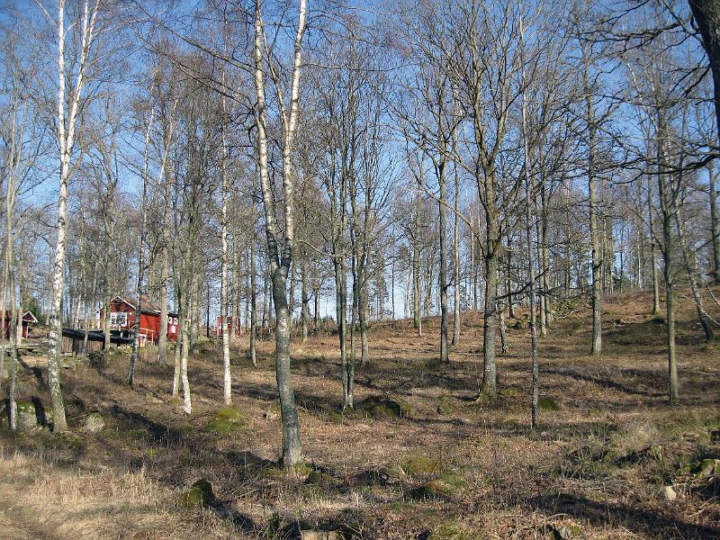 T9-H.jpg